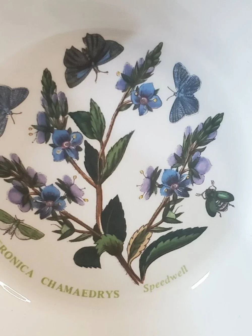 Vtg 1972 Portmeirion Botanic Garden Floral Veronica Chamaedrys Soup Cereal Bowl